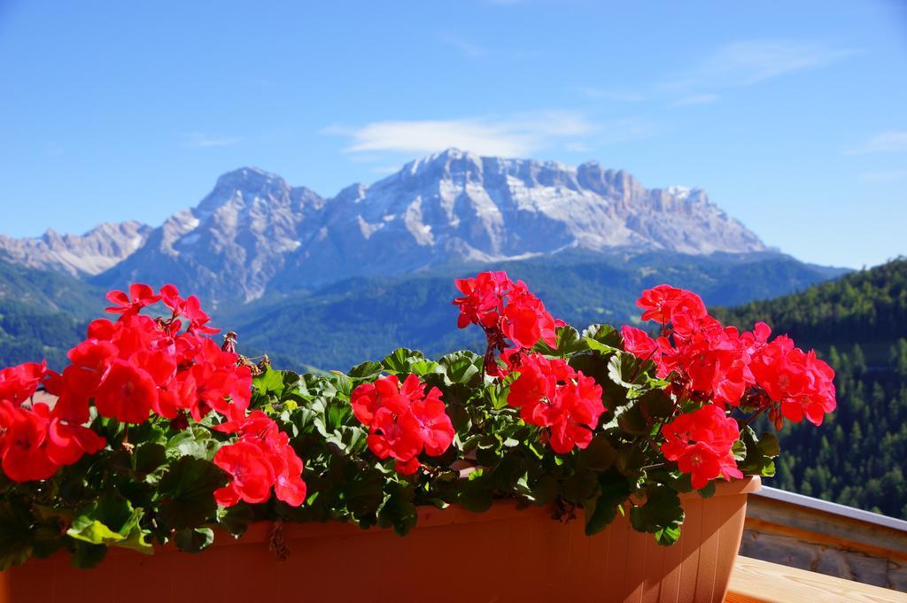 Chalet Frapes San Martino in Badia Exterior photo